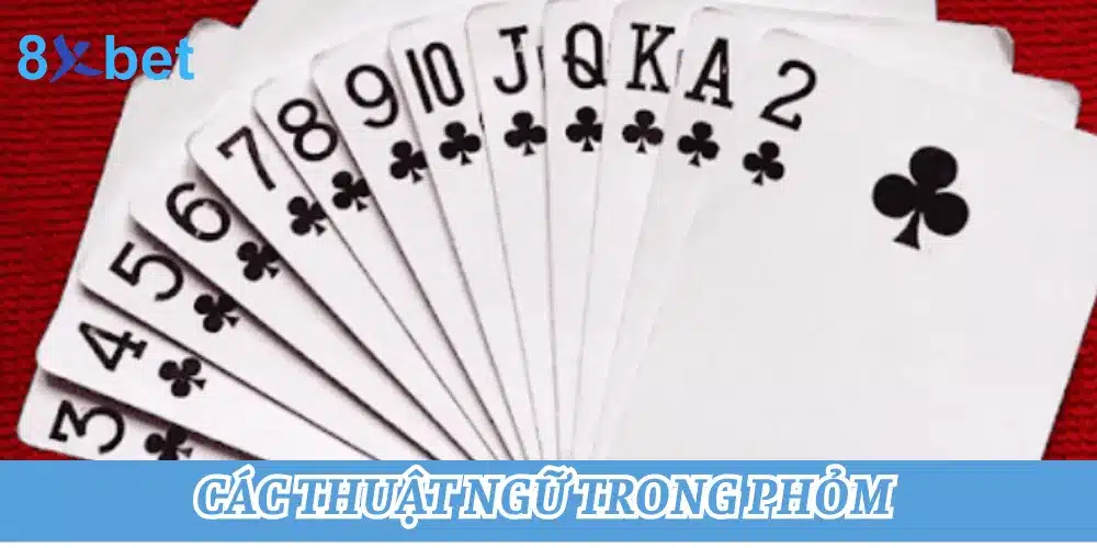 Một số thuật ngữ trong Phỏm thường dùng